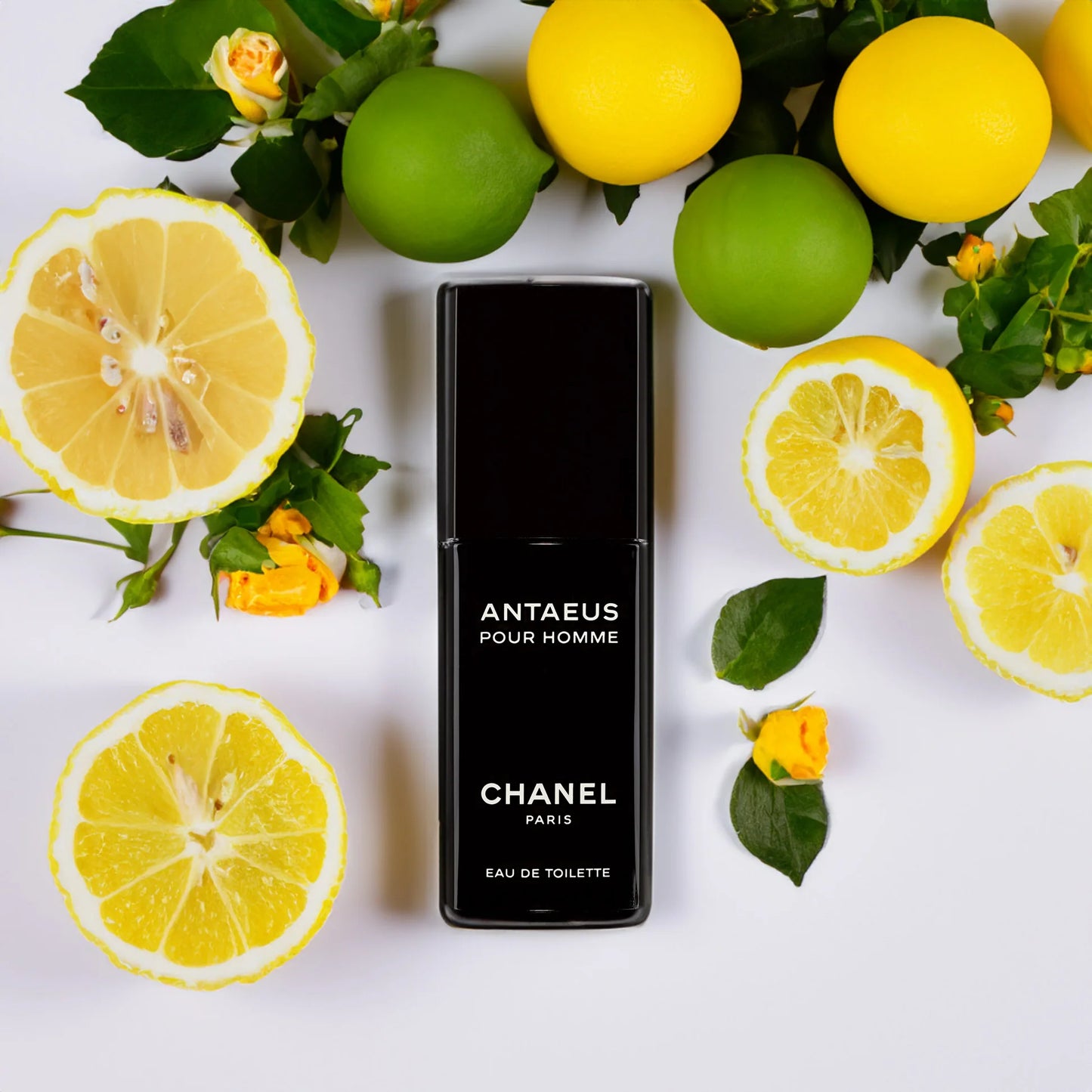Schwarze Parfüm Flakon von Chanel Anateus mit Zitronen und Limetten